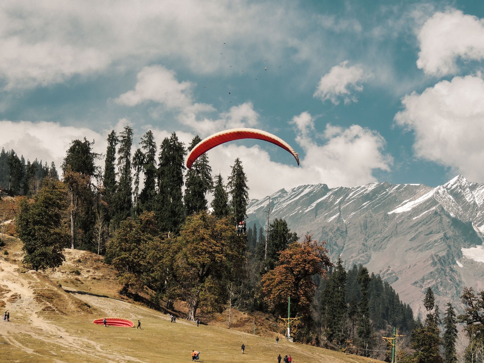 Paragliding in Manali