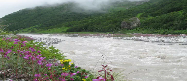 Witness Pushpawati River