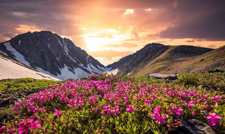 Capture Himalayan Views