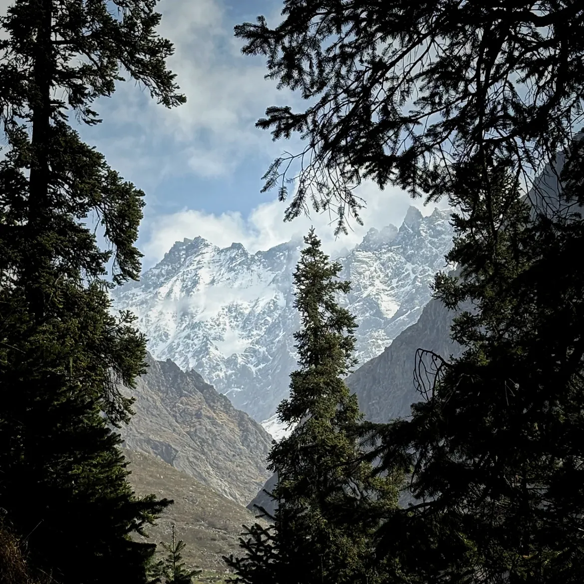 Trek Through Scenic Himalayan Trails