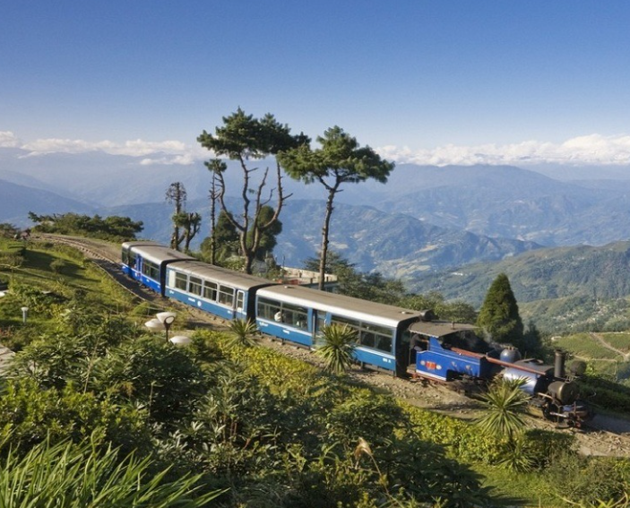 Ride the Famous Toy Train