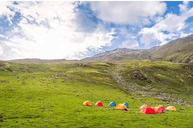 Camp Amidst Alpine Meadows