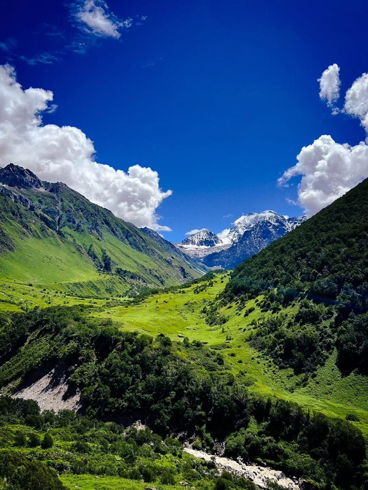 Capture Stunning Himalayan Views