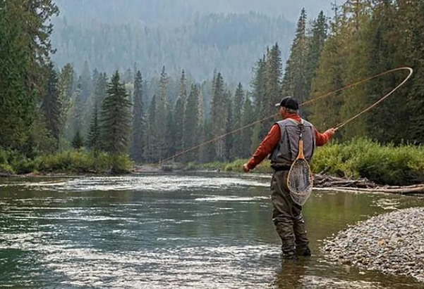 Try Trout Fishing in Barot