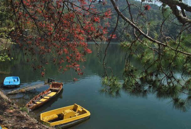 Visit Bhimtal & Sattal