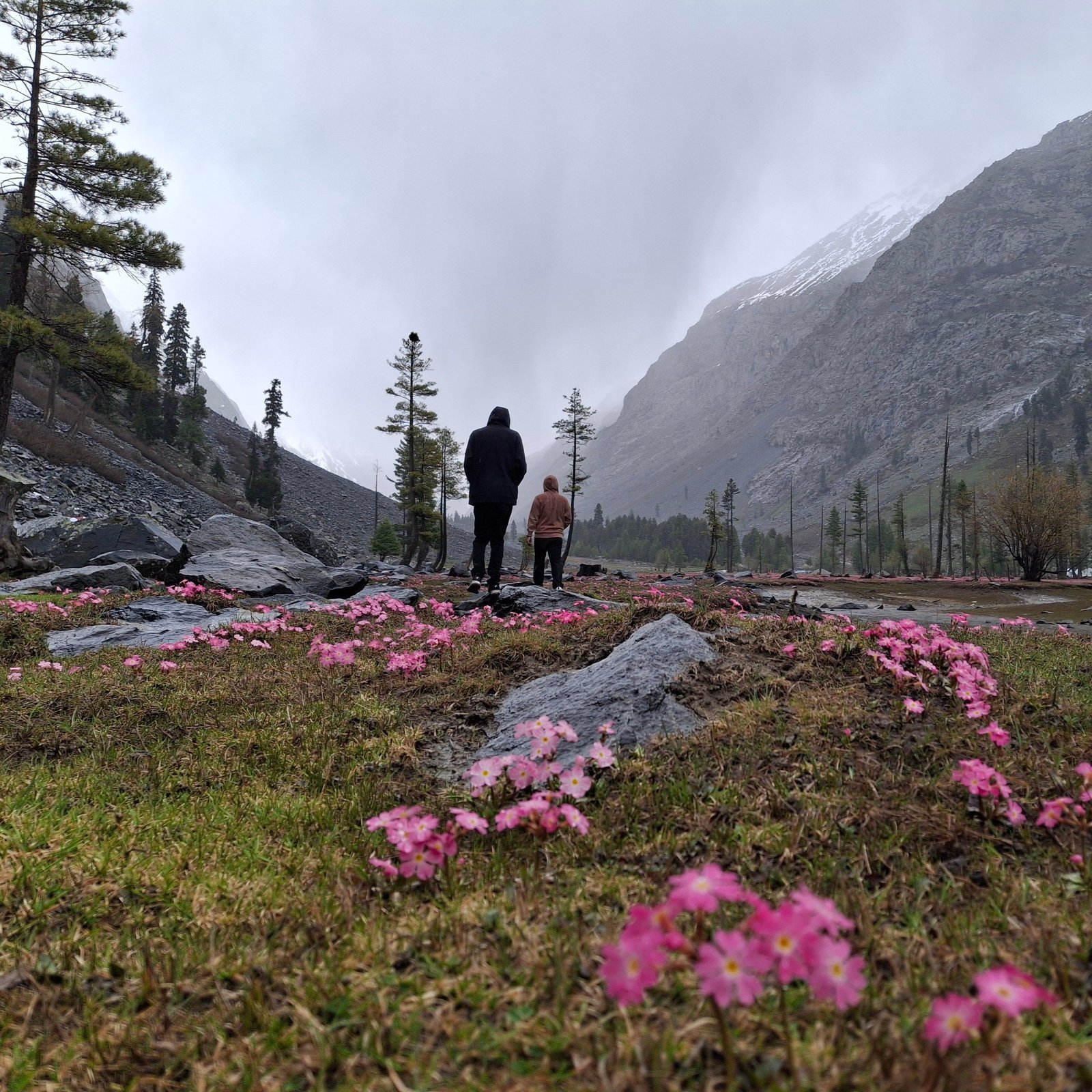 Thumb Image